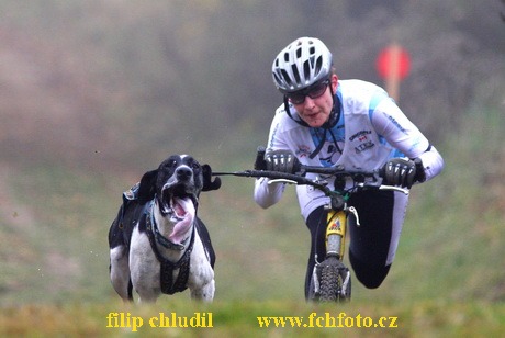 Tri studne podzim 08 - 415.jpg